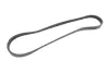 Ремінь генератора BMW 5 (E60/E61) 4.0-4.8i (N62) 03-10 (4PK844) CONTINENTAL Contitech 4PK844 ELAST (фото 5)