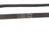 Ремінь генератора BMW 3 (E90)/5 (E60)/7 (E65/E66/E67) 2.5/3.0D 02-11 (4PK850) CONTINENTAL Contitech 4PK850 ELAST (фото 3)