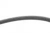 Ремінь генератора Skoda SuperB 01-08/VW Passat B5/Hyundai Accent 95-05/Tucson/Kia Sportage/Ceed 04- CONTINENTAL Contitech 4PK855 (фото 2)
