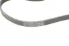 Ремінь генератора Skoda SuperB 01-08/VW Passat B5/Hyundai Accent 95-05/Tucson/Kia Sportage/Ceed 04- CONTINENTAL Contitech 4PK855 (фото 3)