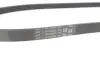 Ремінь генератора Renault Clio 1.2 16V 12- (4PK865) CONTINENTAL Contitech 4PK865 ELAST (фото 4)