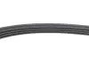 Ремінь генератора Renault Clio 1.2 16V 12- (4PK865) CONTINENTAL Contitech 4PK865 ELAST (фото 5)