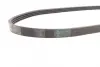 Ремінь генератора Mazda 323 1.3-1.8 89-04/BMW 3 (E46)/7 (E65/E66/E67) 3.0d 02-05/Kia Rio 1.5 00-05 CONTINENTAL Contitech 4PK885 (фото 2)
