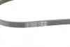 Ремінь генератора Hyundai Tucson/i30/Kia Sportage/Carens/Ceed/Suzuki Grand Vitara 04-/Audi/BMW/Mazda CONTINENTAL Contitech 4PK890 (фото 4)