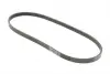 Ремінь генератора Hyundai Tucson/i30/Kia Sportage/Carens/Ceed/Suzuki Grand Vitara 04-/Audi/BMW/Mazda CONTINENTAL Contitech 4PK890 (фото 5)