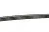 Ремінь генератора Renault Kangoo/Clio 1.2i 97-/Fiat Scudo 1.6i 96-06/Nissan Kubistar 1.2 03- CONTINENTAL Contitech 4PK905 (фото 2)