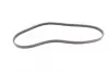 Ремінь генератора Fiat Fiorino 1.4/1.6i 93-01/Mitsubishi Galant 1.8/2.0 87-03/Toyota Hilux 2.4 97-05 CONTINENTAL Contitech 4PK938 (фото 5)