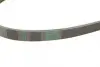 Ремінь генератора BMW 3 (E46)/5 (G30/F90)/7 (G11/G12)/X3 (G01/F97)/X5 (G05)/Kia Rio 00-05 CONTINENTAL Contitech 4PK970 (фото 4)