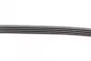 Пас поліклиновий BMW X5 (E53)/Mazda 626/MX-5/Opel CONTINENTAL Contitech 5PK1025 (фото 3)