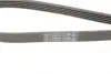Ремінь генератора VW Touareg 4.2 FSI 06-18/Toyota Avensis/Camry/Corolla 1.8/2.0D 86-03 CONTINENTAL Contitech 5PK1120 (фото 4)