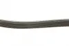 Ремінь генератора Volvo S40/S60/S80/V40/V60/V70/XC60/XC70 00- (5PK1121) CONTINENTAL Contitech 5PK1121 EXTRA (фото 2)