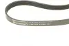 Ремінь генератора Volvo S40/S60/S80/V40/V60/V70/XC60/XC70 00- (5PK1121) CONTINENTAL Contitech 5PK1121 EXTRA (фото 3)