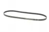 Ремінь генератора Renault Kangoo/Megane/Laguna 1.4/1.5 dCi/1.6 03-/Audi A6 4.2FSI 06-11 CONTINENTAL Contitech 5PK1135 (фото 4)