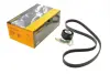 Комплект пасу поліклинового Renault Clio/Megane/S CONTINENTAL Contitech 5PK1135K2 (фото 1)