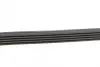 Комплект пасу поліклинового Renault Clio/Megane/S CONTINENTAL Contitech 5PK1135K2 (фото 2)