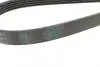 Комплект пасу поліклинового Renault Clio/Megane/S CONTINENTAL Contitech 5PK1135K2 (фото 3)