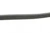 Полікліновий ремінь MERCEDES-BENZ VANEO (414) 1.6 02/02-07/05 Contitech 5PK1290 (фото 2)
