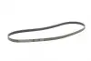 Полікліновий ремінь MERCEDES-BENZ VANEO (414) 1.6 02/02-07/05 Contitech 5PK1290 (фото 5)