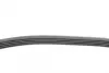 Ремінь генератора VW Passat B5/Audi A4/A6 1.6/1.8/2.0 95-05/MB A-class (W169) 1.5-2.0 04-12 CONTINENTAL Contitech 5PK1300 (фото 2)