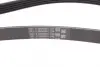 Ремінь Contitech 5PK1393 (фото 2)