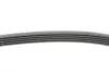 Ремінь генератора Opel Astra J/Insignia/Chevrolet Cruze 1.4 09- CONTINENTAL Contitech 5PK1397 (фото 2)