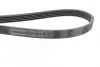 Ремінь генератора VW Passat B5/Audi A4/A6 1.9TDI 98-05/Skoda Superb 1.9/2.0TDI 01-08 CONTINENTAL Contitech 5PK1432 (фото 2)