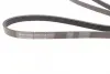Ремінь генератора Opel Zafira/Astra 1.6/1.8 05-15/Fiat 1.6/1.8 05-/Chevrolet Orlando 1.8 11- CONTINENTAL Contitech 5PK1546 (фото 2)