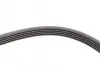 Ремінь генератора Opel Zafira/Astra 1.6/1.8 05-15/Fiat 1.6/1.8 05-/Chevrolet Orlando 1.8 11- CONTINENTAL Contitech 5PK1546 (фото 3)