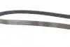 Ремінь генератора MB A-class (W168) 1.7CDI 98-01 CONTINENTAL Contitech 5PK1720 (фото 2)