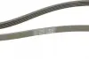 Ремінь генератора Kia Cerato/Rio 1.5-1.6 CRDI 05-/MB A-class (W169/W176) 1.8-2.2CDI 04-18 CONTINENTAL Contitech 5PK1745 (фото 3)