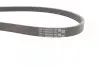 Ремінь генератора Renault Kangoo/Megane/Logan 1.4/1.6i 97-/Opel Insignia 2.0 17- CONTINENTAL Contitech 5PK1750 (фото 2)