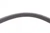 Ремінь генератора Renault Kangoo/Megane/Logan 1.4/1.6i 97-/Opel Insignia 2.0 17- CONTINENTAL Contitech 5PK1750 (фото 4)
