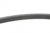 Ремінь генератора MB A-class (W169)/B-class (W245) 1.5-2.0 04-12/Opel Insignia 2.0T 13-17 CONTINENTAL Contitech 5PK1765 (фото 2)