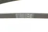 Ремінь генератора MB A-class (W169)/B-class (W245) 1.5-2.0 04-12/Opel Insignia 2.0T 13-17 CONTINENTAL Contitech 5PK1765 (фото 3)