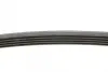 Пас поліклиновий Hyundai Getz/Kia Cerato/Rio 1.5 C CONTINENTAL Contitech 5PK1840 (фото 2)