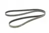Пас поліклиновий Hyundai Getz/Kia Cerato/Rio 1.5 C CONTINENTAL Contitech 5PK1840 (фото 5)