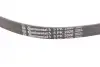 Ремінь генератора Opel Omega B 2.5DTI 01-03/Land Rover Range Rover 3.0D 02-12 CONTINENTAL Contitech 5PK2020 (фото 3)