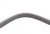 Ремінь генератора Opel Omega B 2.5DTI 01-03/Land Rover Range Rover 3.0D 02-12 CONTINENTAL Contitech 5PK2020 (фото 4)