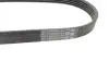 Ремінь генератора Ford Mondeo IV 2.5 07-15/Volvo S60/S80/V60/V70/XC60/XC70 07-16 CONTINENTAL Contitech 5PK628 ELAST (фото 3)