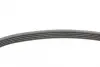 Ремінь Contitech 5PK690ELAST (фото 2)
