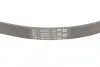 Ремінь генератора Ford Focus 1.6i CONTINENTAL Contitech 5PK868 ELAST (фото 3)