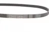Ремінь генератора Ford Fiesta 1.8 DI 95-02/Toyota Rav4 2.0D 4WD 01-05 CONTINENTAL Contitech 5PK884 (фото 2)