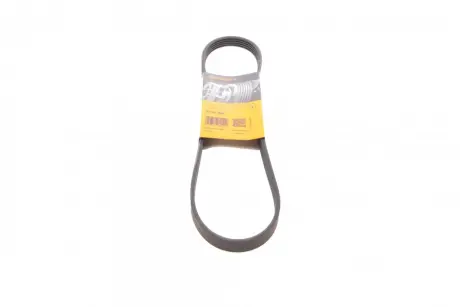 Ремінь генератора Ford Fiesta 1.8 DI 95-02/Toyota Rav4 2.0D 4WD 01-05 CONTINENTAL Contitech 5PK884