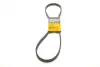 Ремінь генератора VW T5/Sharan 1.9/2.0TDI 00-10/VW Caddy 1.9TDI/2.0SDI 04-10/Seat Alhambra 00-10 CONTINENTAL Contitech 6DPK1215 (фото 1)