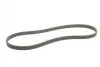 Ремінь генератора VW T5/Sharan 1.9/2.0TDI 00-10/VW Caddy 1.9TDI/2.0SDI 04-10/Seat Alhambra 00-10 CONTINENTAL Contitech 6DPK1215 (фото 3)