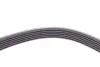 Ремінь генератора Volvo C70/S40/S80/S70/V70/XC70/XC90 2.0-3.0 98-14 CONTINENTAL Contitech 6DPK1841 (фото 2)