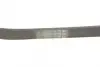 Ремінь генератора Ford Fiesta/Focus CONTINENTAL Contitech 6PK1019 ELAST (фото 3)