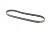 Ремінь генератора Ford Fiesta/Focus CONTINENTAL Contitech 6PK1019 ELAST (фото 5)