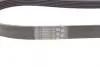 Ремінь генератора Ford Fiesta VI/Mondeo IV 08- CONTINENTAL Contitech 6PK1029 ELAST (фото 3)