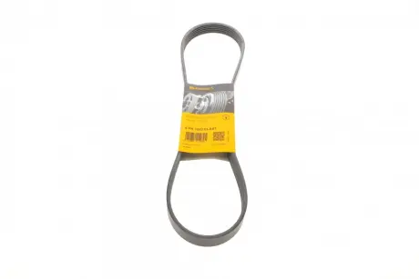 Ремінь генератора Ford Fiesta VI 1.25-1.6Ti 08- CONTINENTAL Contitech 6PK1033 ELAST